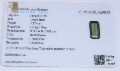 GSI Certified 1.07 Ct Natural Green Tourmaline Octagon Cut, Genuine Verdelite Tourmaline Unmounted Gemstone for Jewelry Making
